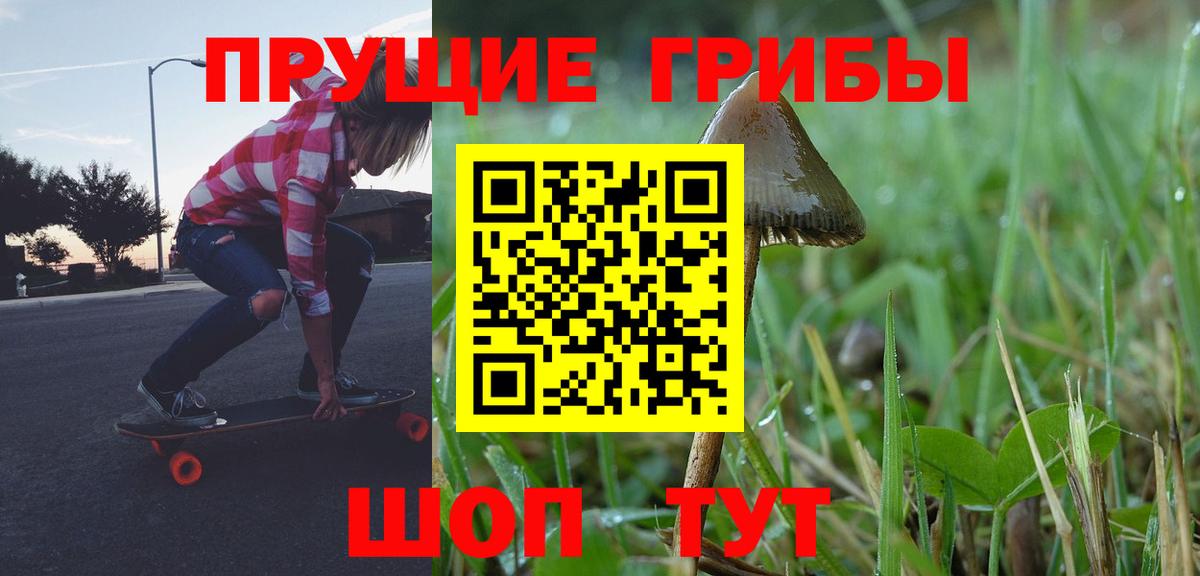 Псилоцибиновые грибы прущие грибы Кизилюрт